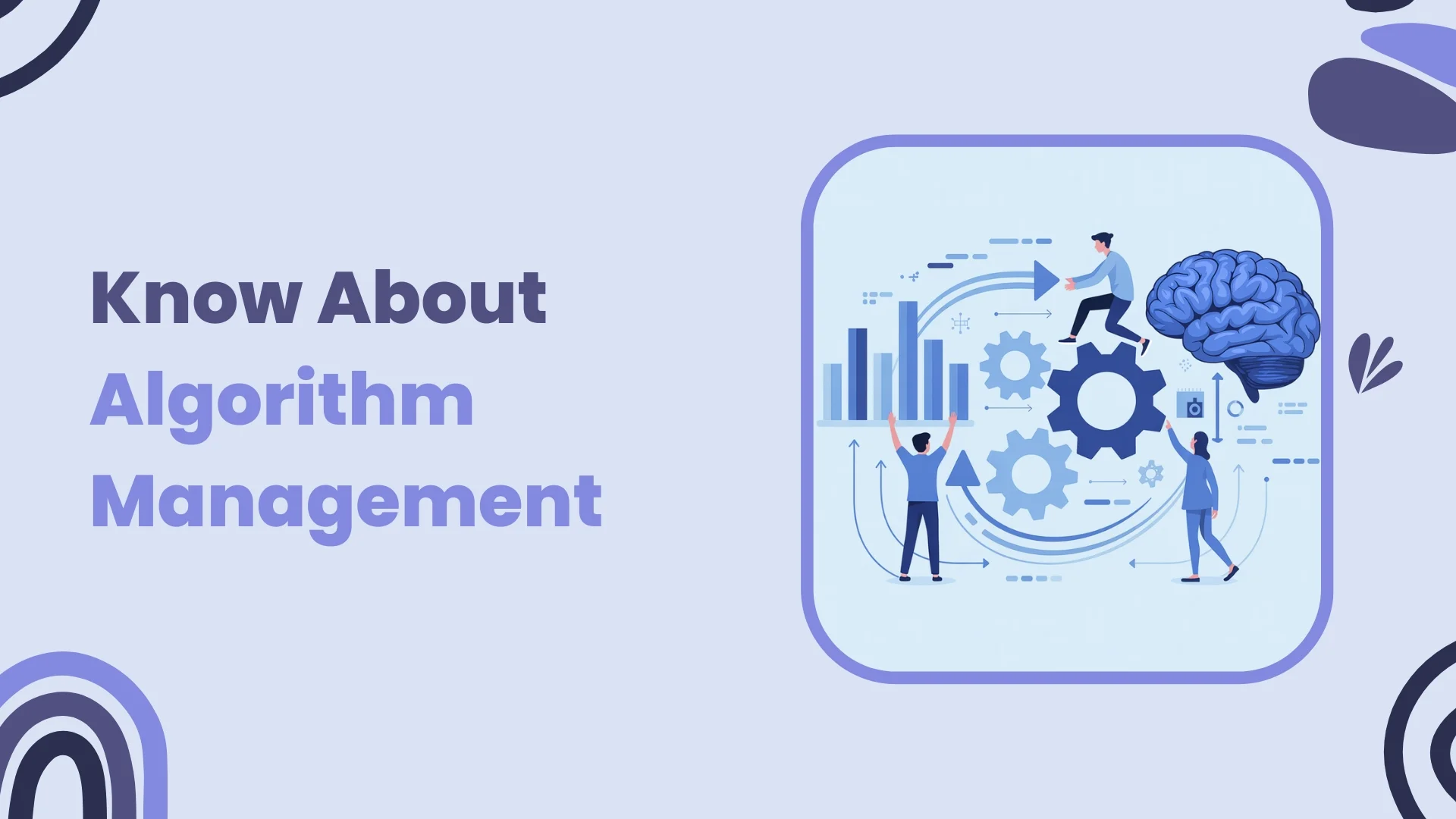 Know About Algorithm Management