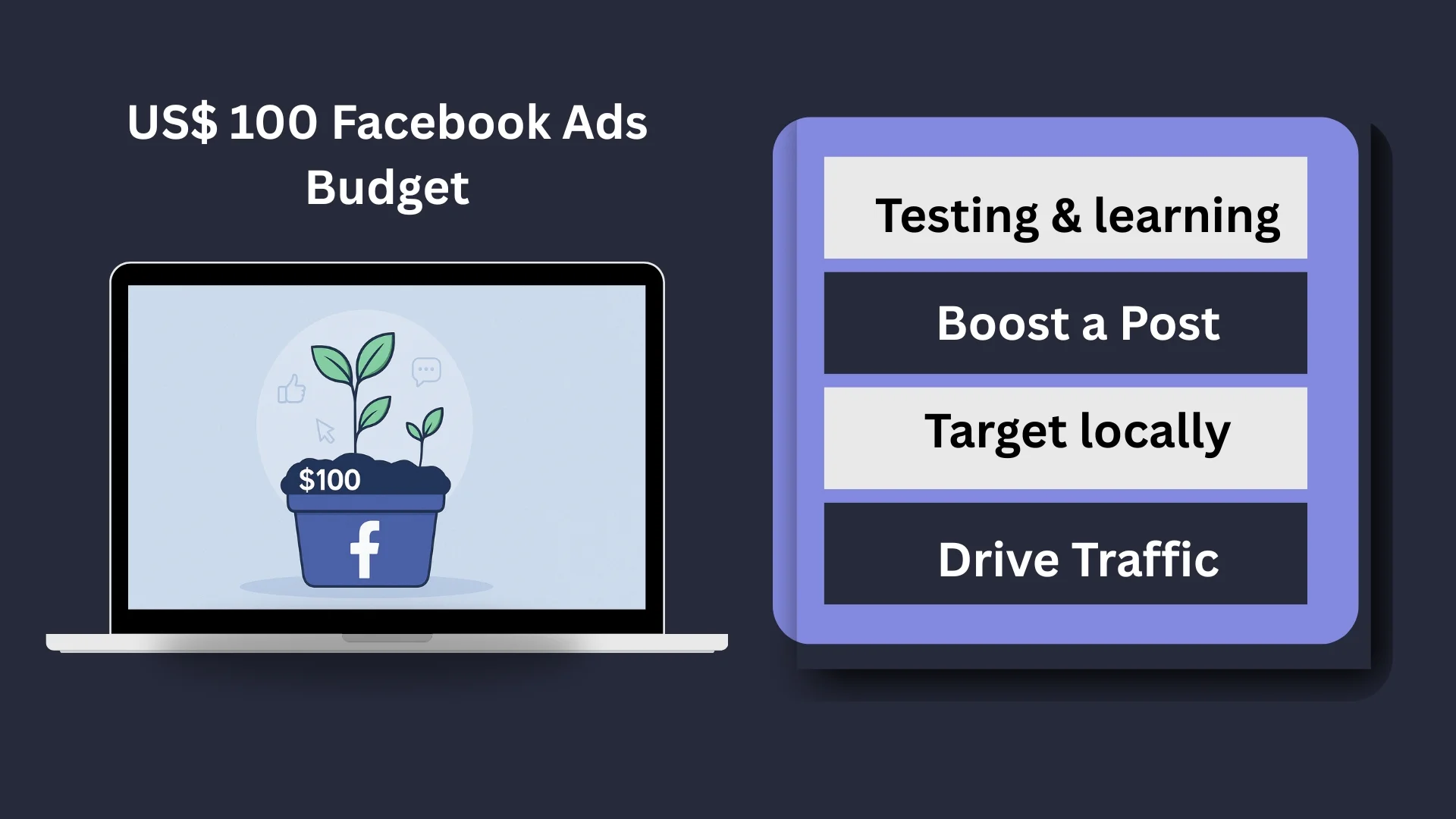 An image explaining USD 100 Facebook ad budget